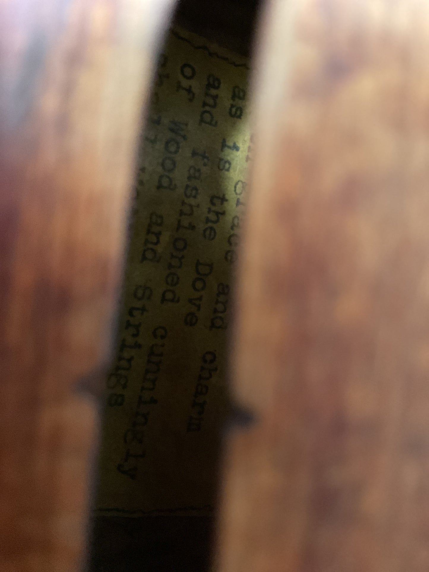 Ralph Thiel ‘The Wanderer’ Violin, 4/4 Size