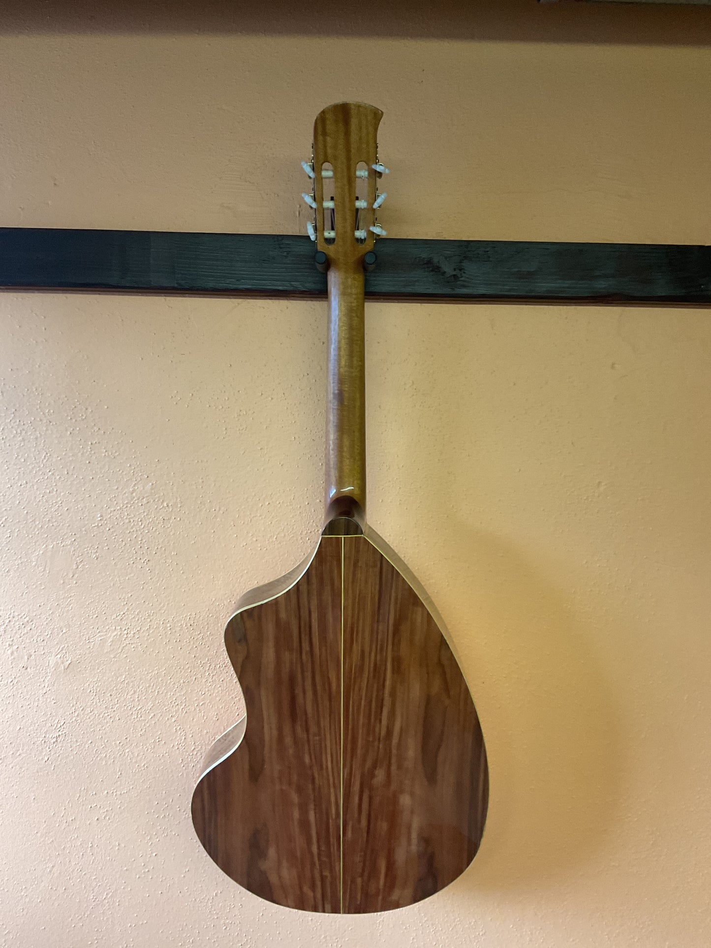 Giannini Craviola AWKN 6 Classical Guitar (1977) with Case