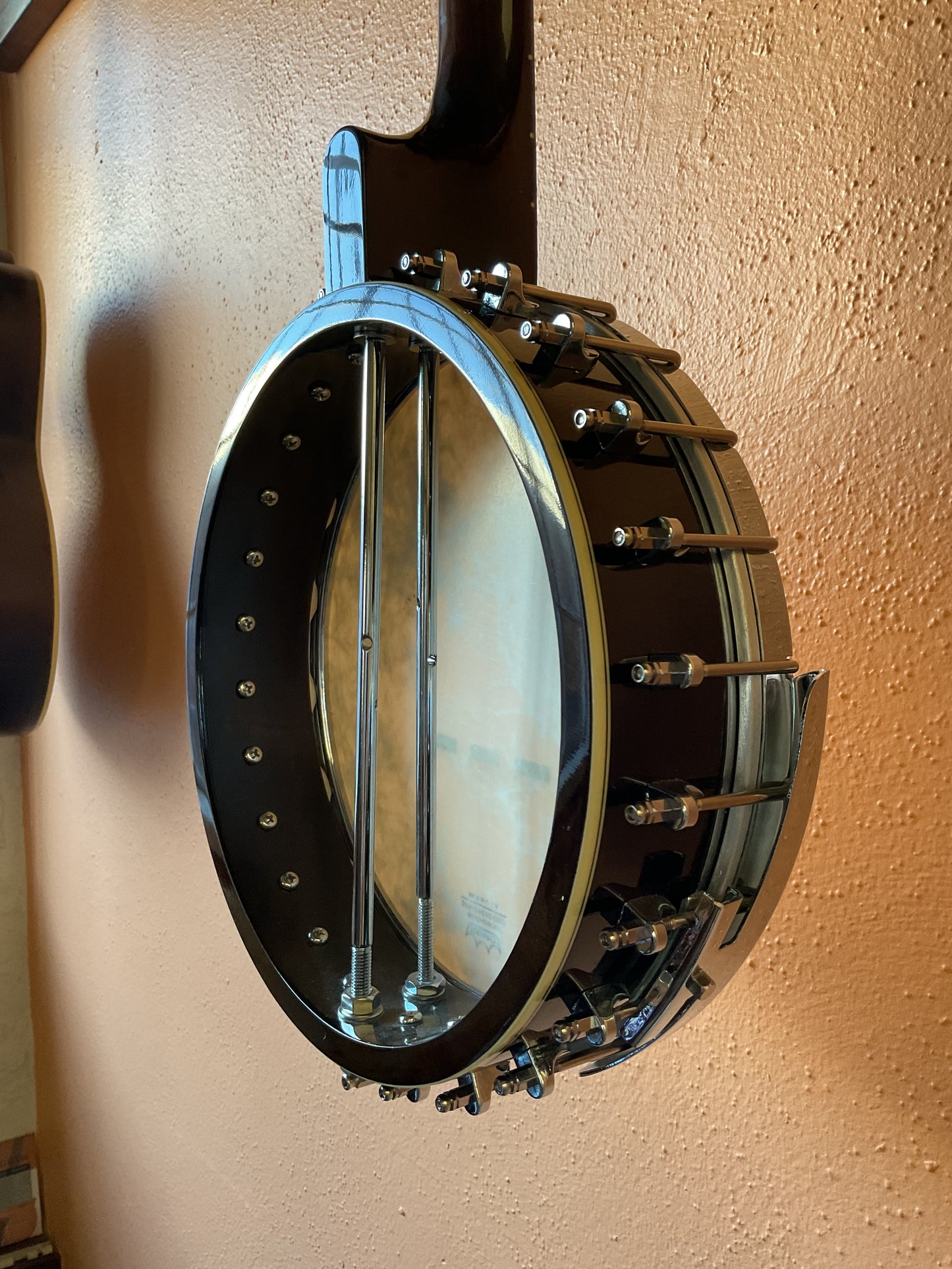 Gold Tone WL-250+ White Ladye Tree of Life Inlay Open Back Banjo with Case