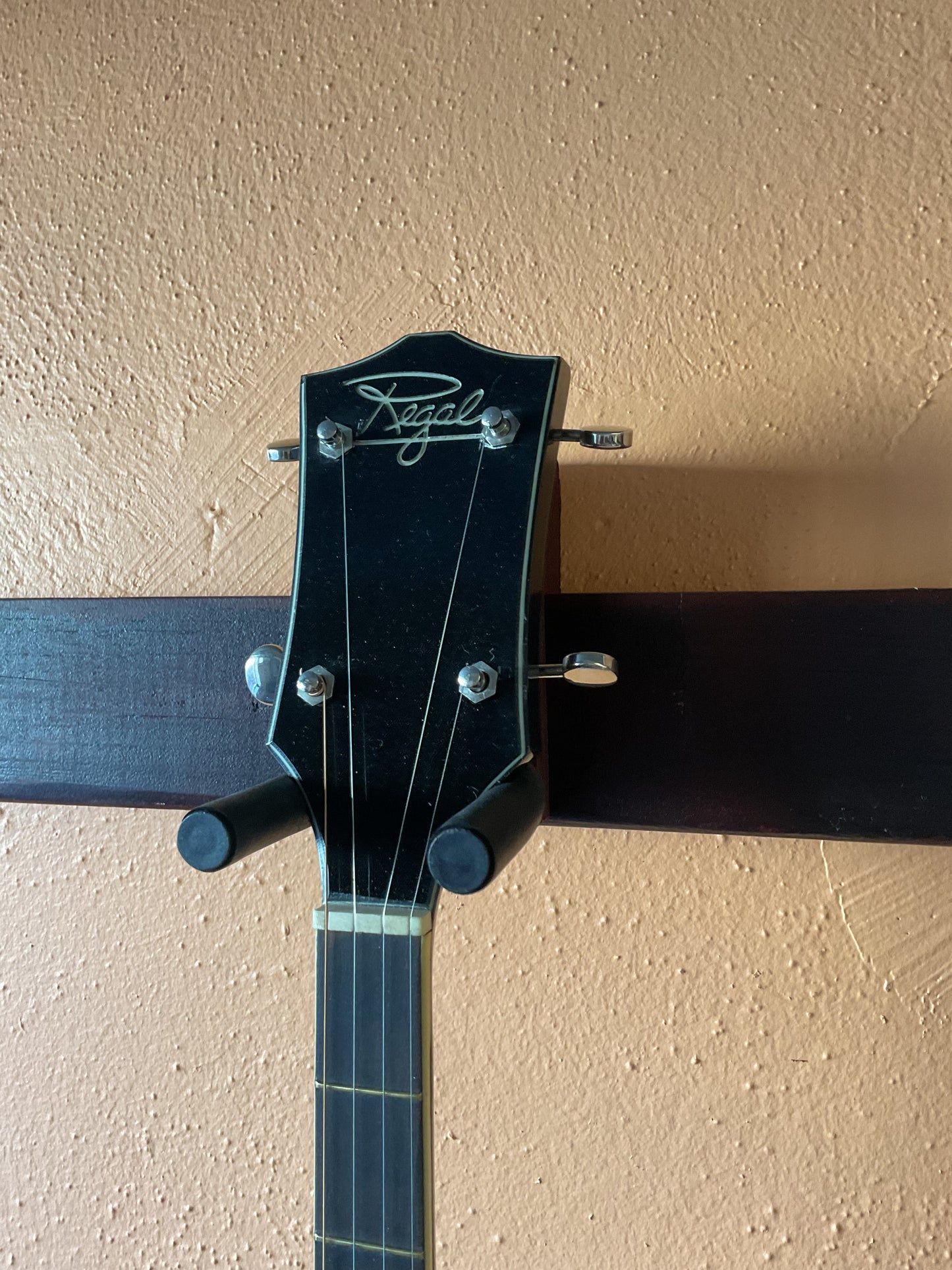 Regal Bakelite 5-String Banjo (1960s)