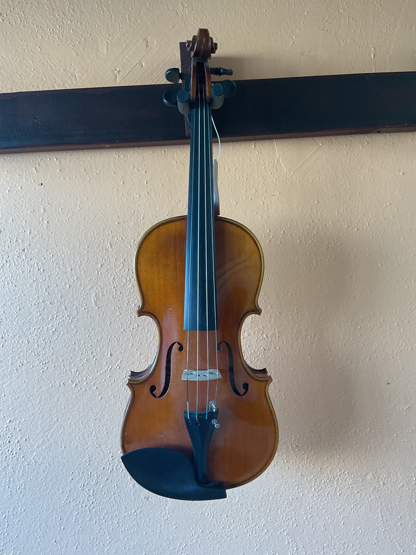 Chen Jin Nong Violin Outfit, 4/4 Size