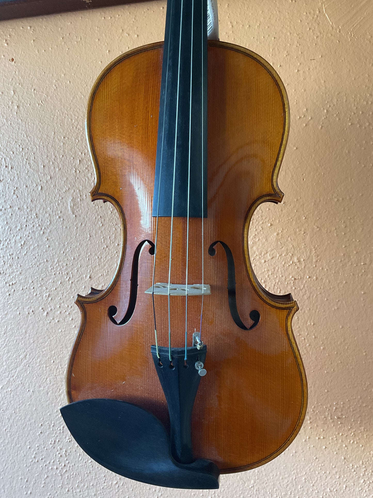 Chen Jin Nong Violin Outfit, 4/4 Size