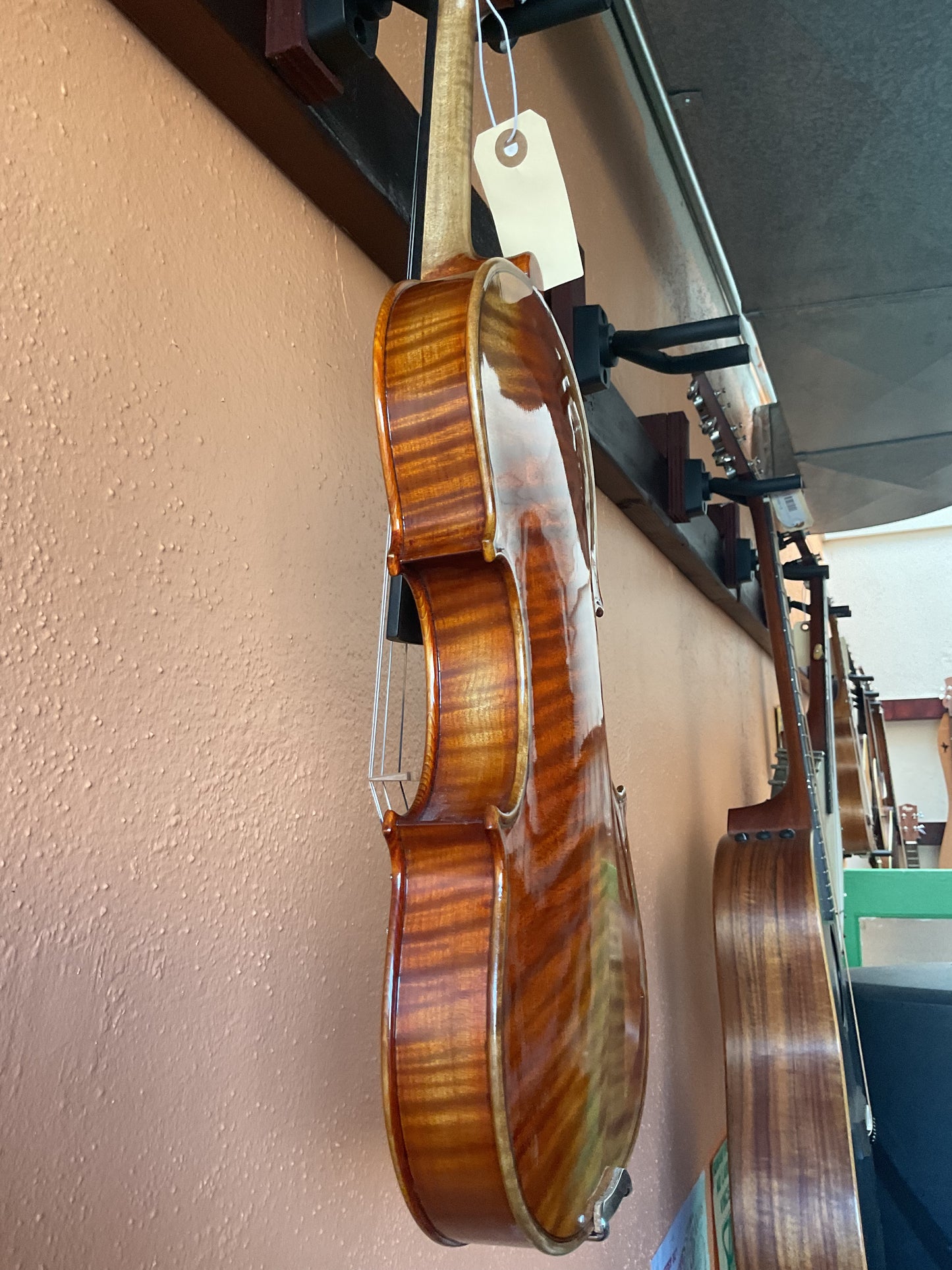 Chen Jin Nong Violin Outfit, 4/4 Size