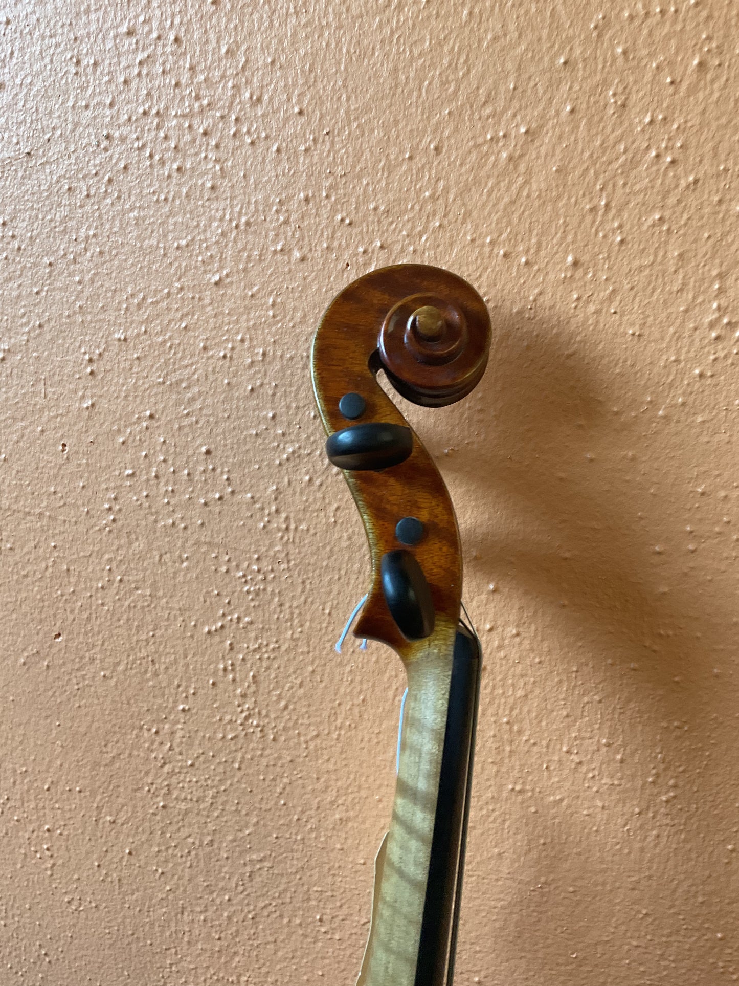 Chen Jin Nong Violin Outfit, 4/4 Size