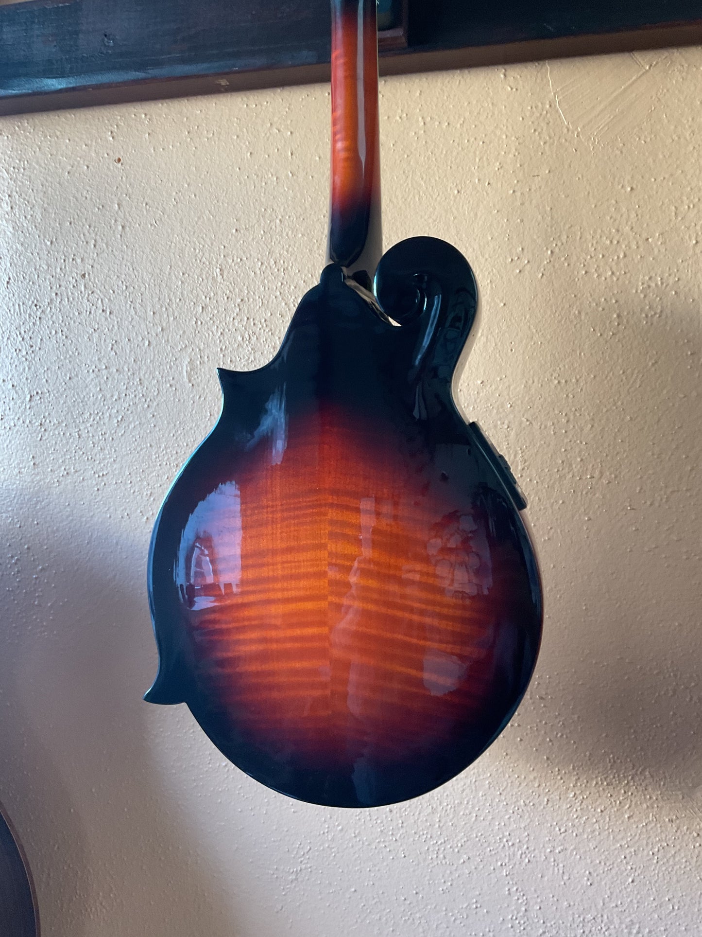 Michael Kelly F-Style Mandolin with Pickup and Case