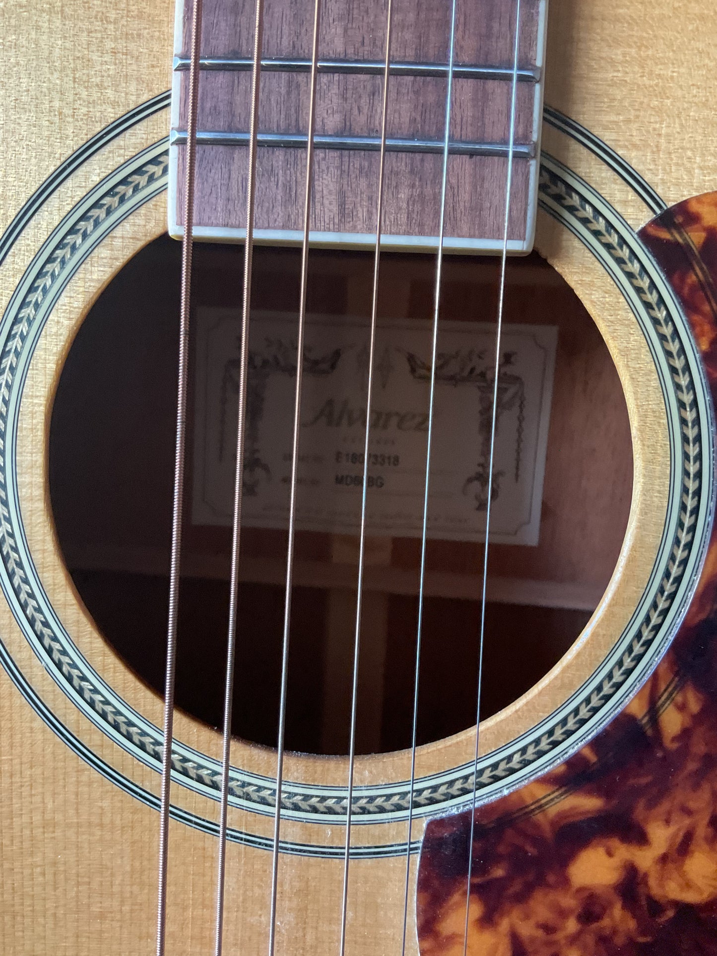 Alvarez MD60BG Acoustic Guitar