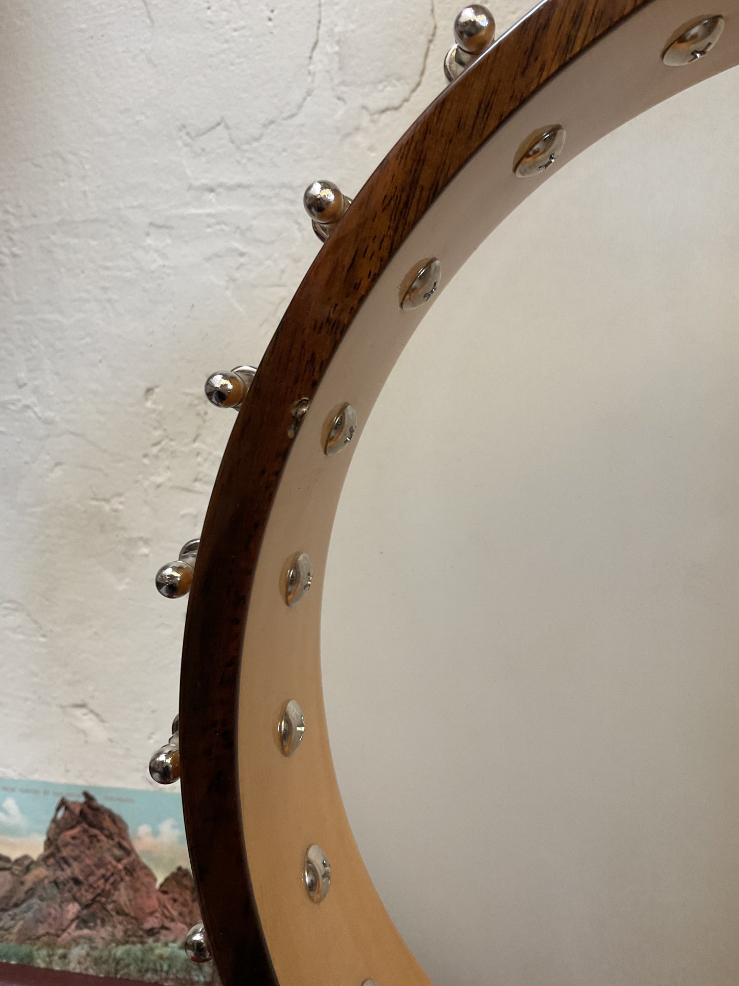 Gold Tone Bob Carlin (BC-350) 12” Open Back Banjo