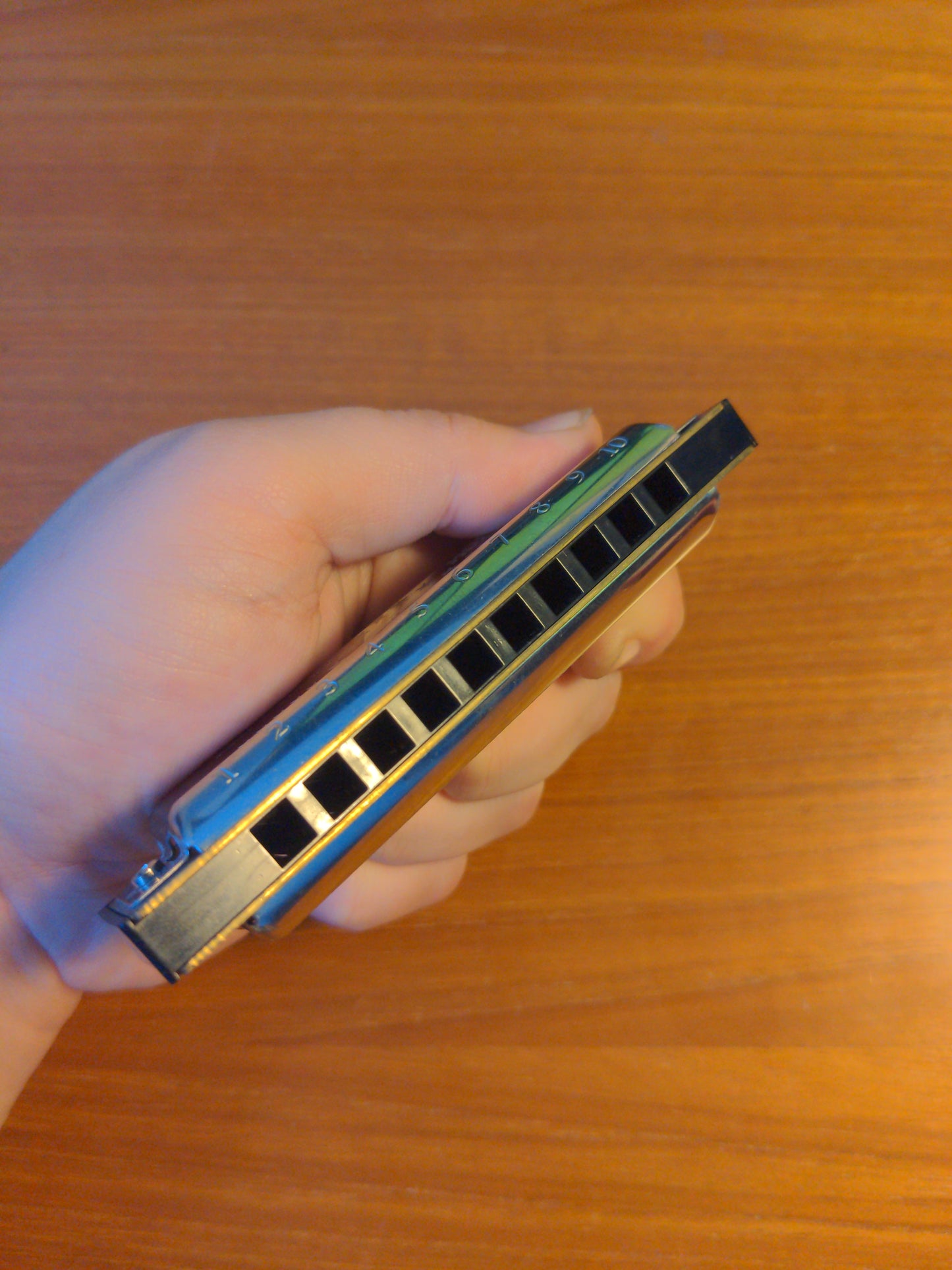 Hohner Big River Harp (Harmonica | Key of C)