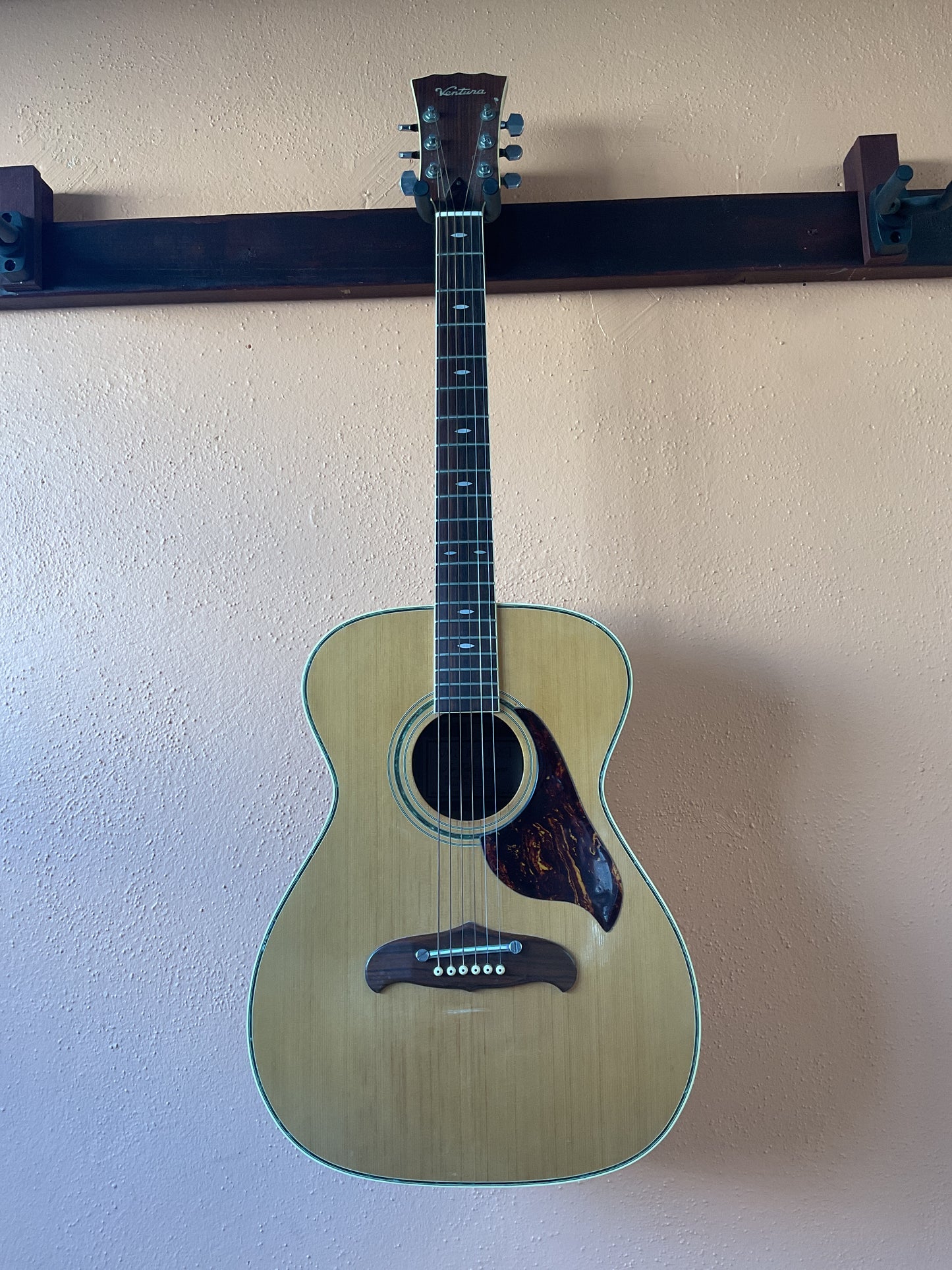 Ventura V-12 Acoustic Guitar (1960s) with Case and Strap