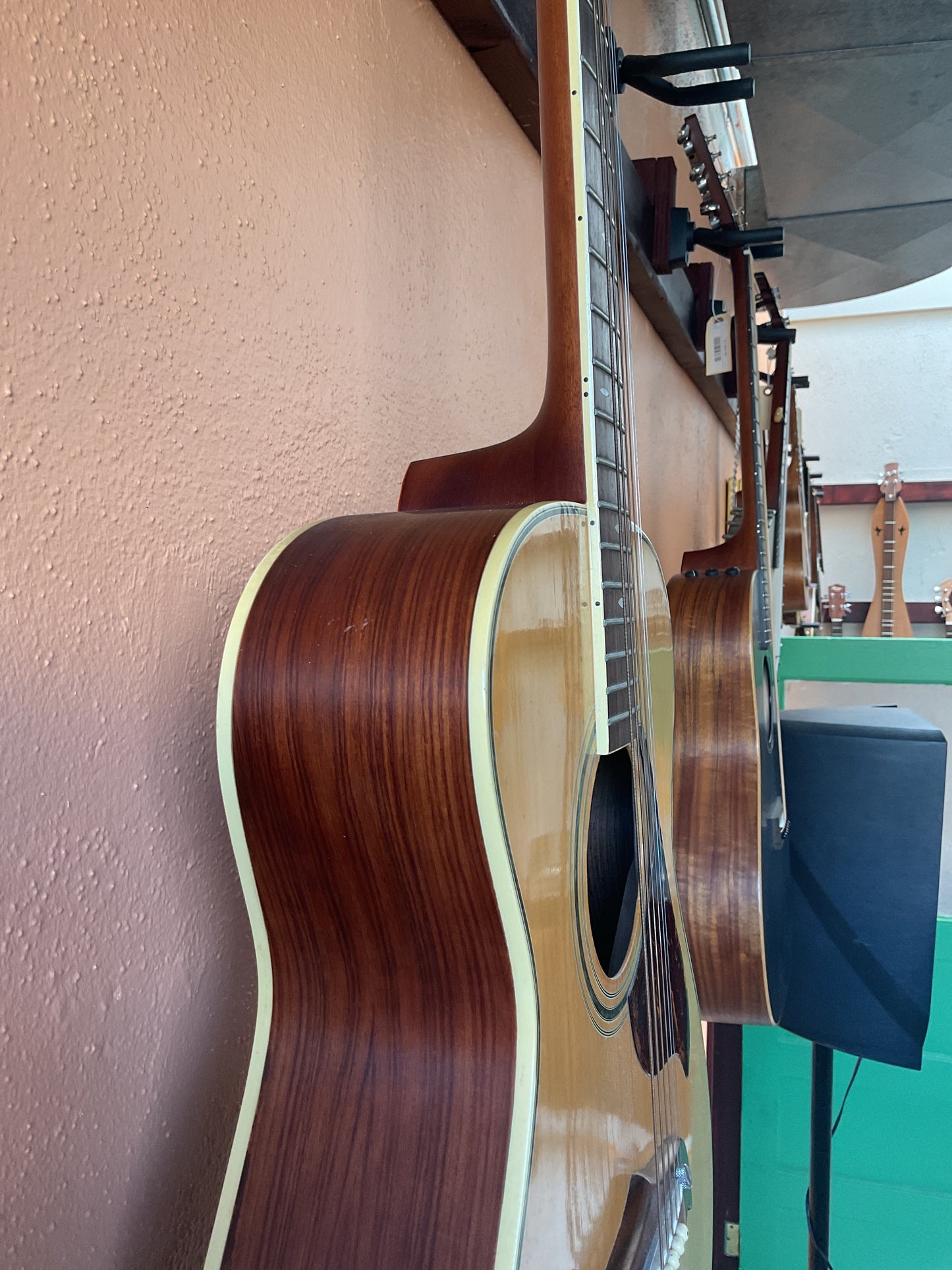 Ventura V-12 Acoustic Guitar (1960s) with Case and Strap