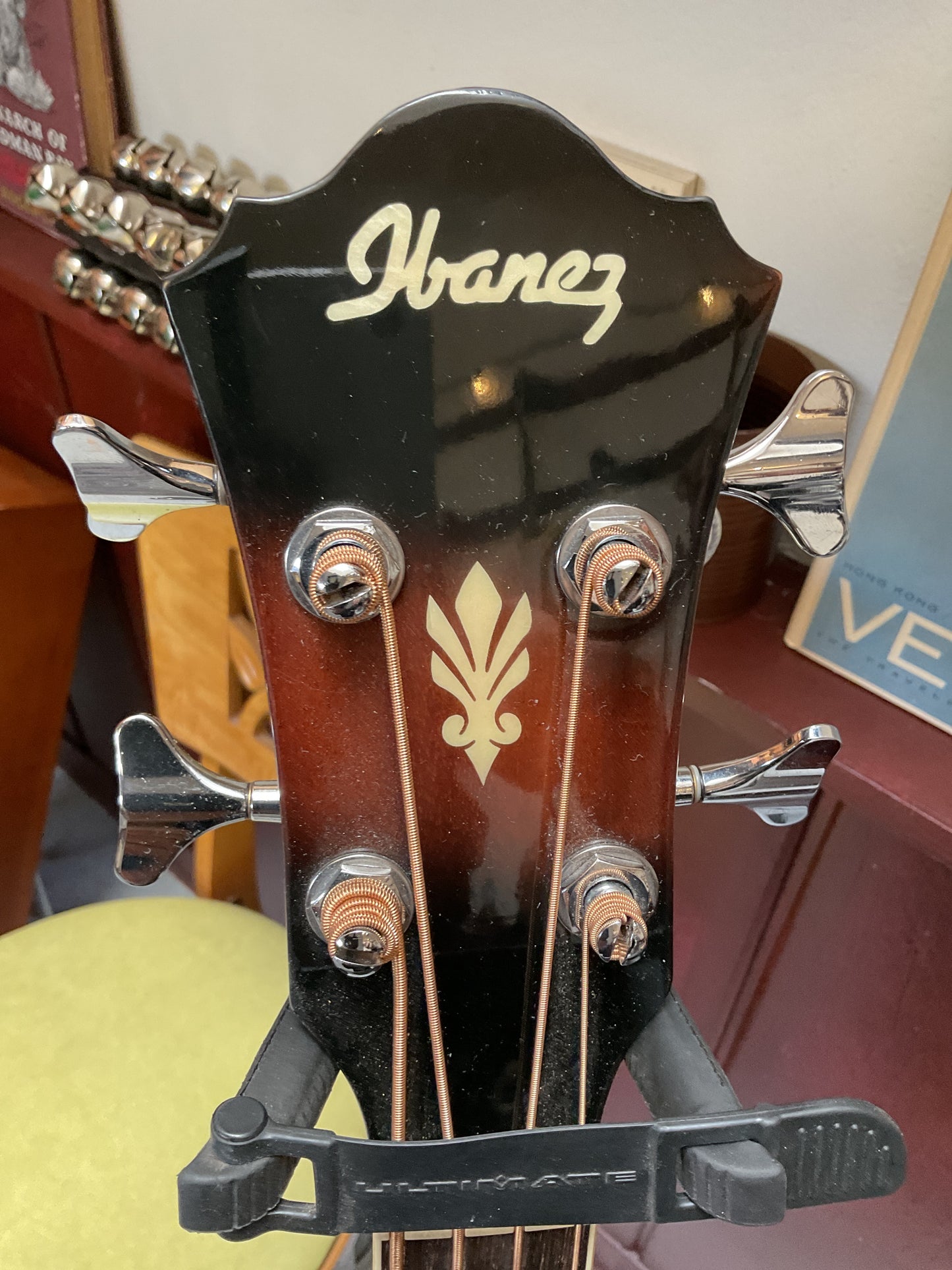 Ibanez Acoustic Bass with Case