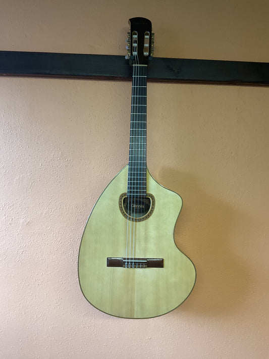 Giannini Craviola AWKN 6 Classical Guitar (1977) with Case