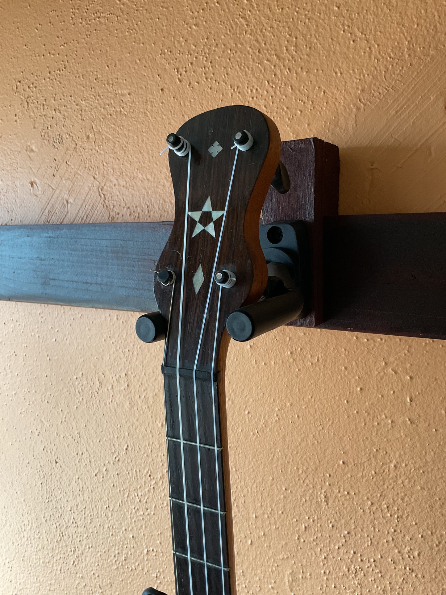 1890’s Buckbee Style Banjo