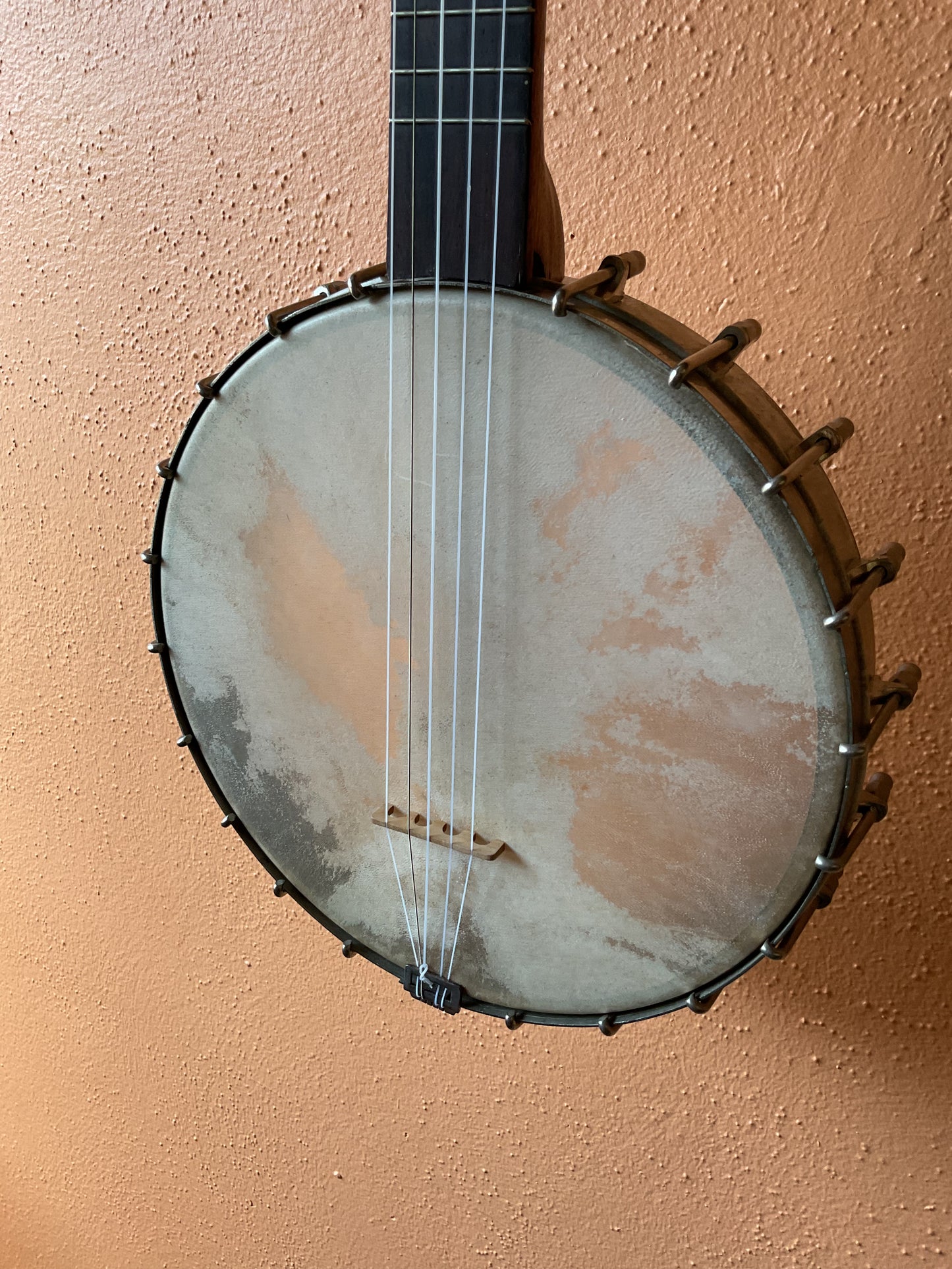 1890’s Buckbee Style Banjo