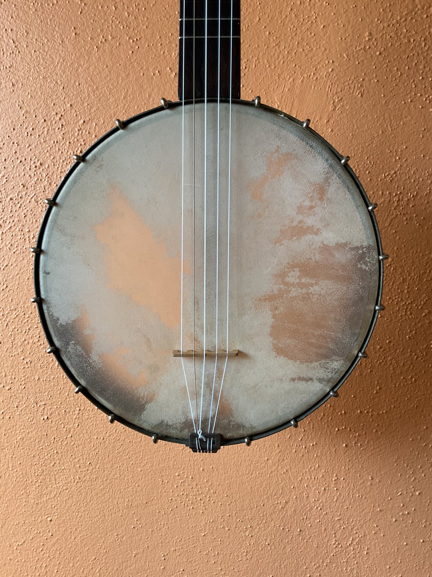 1890’s Buckbee Style Banjo