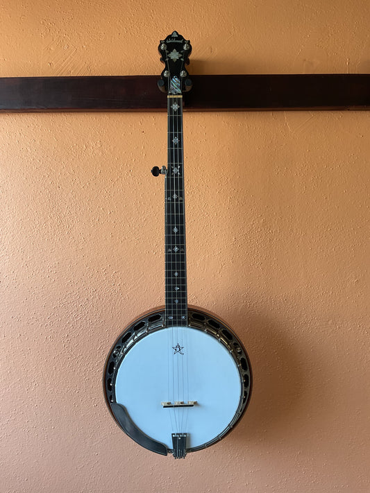 Wildwood Artist 5-String Banjo