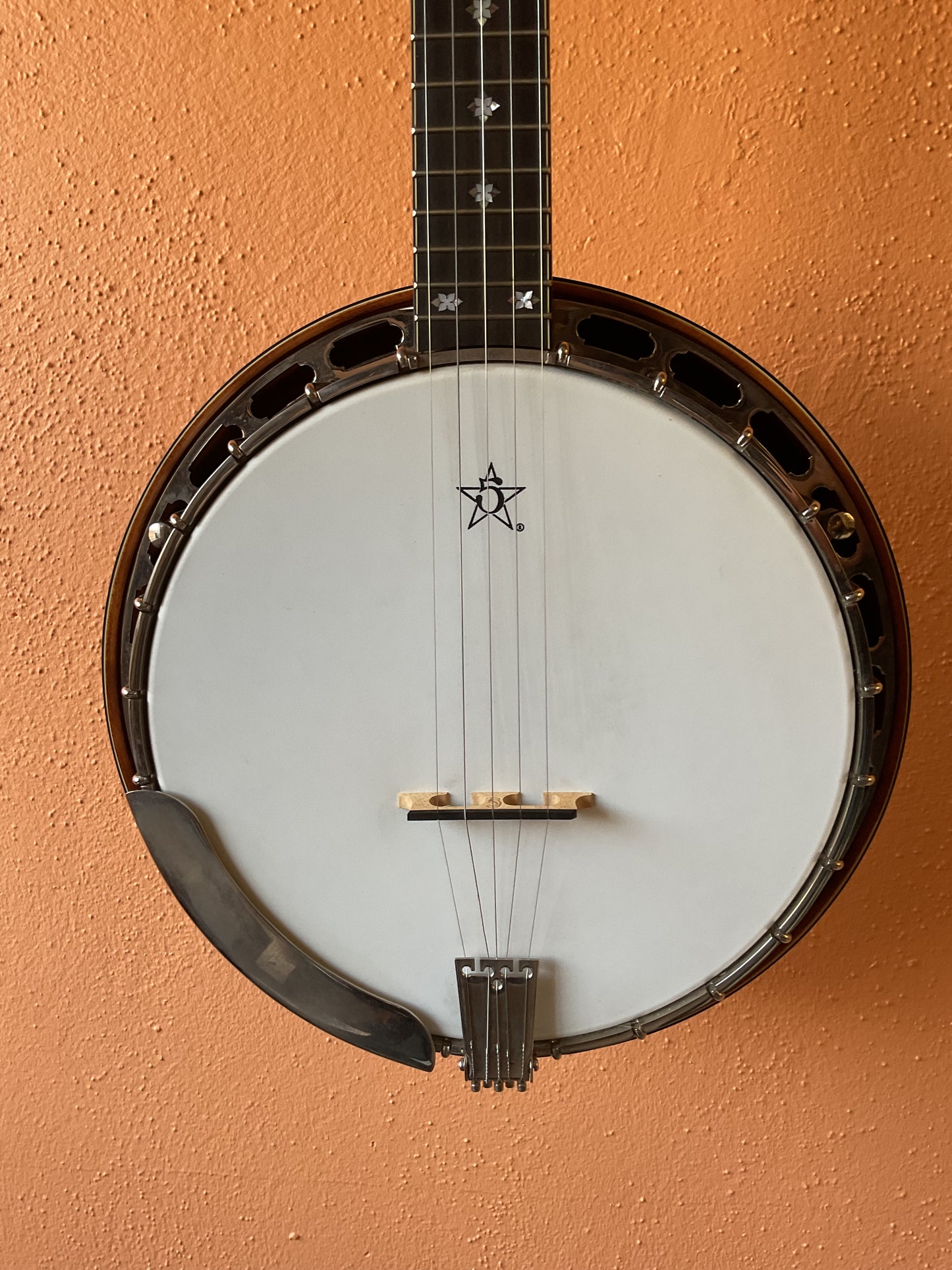 Wildwood Artist 5-String Banjo