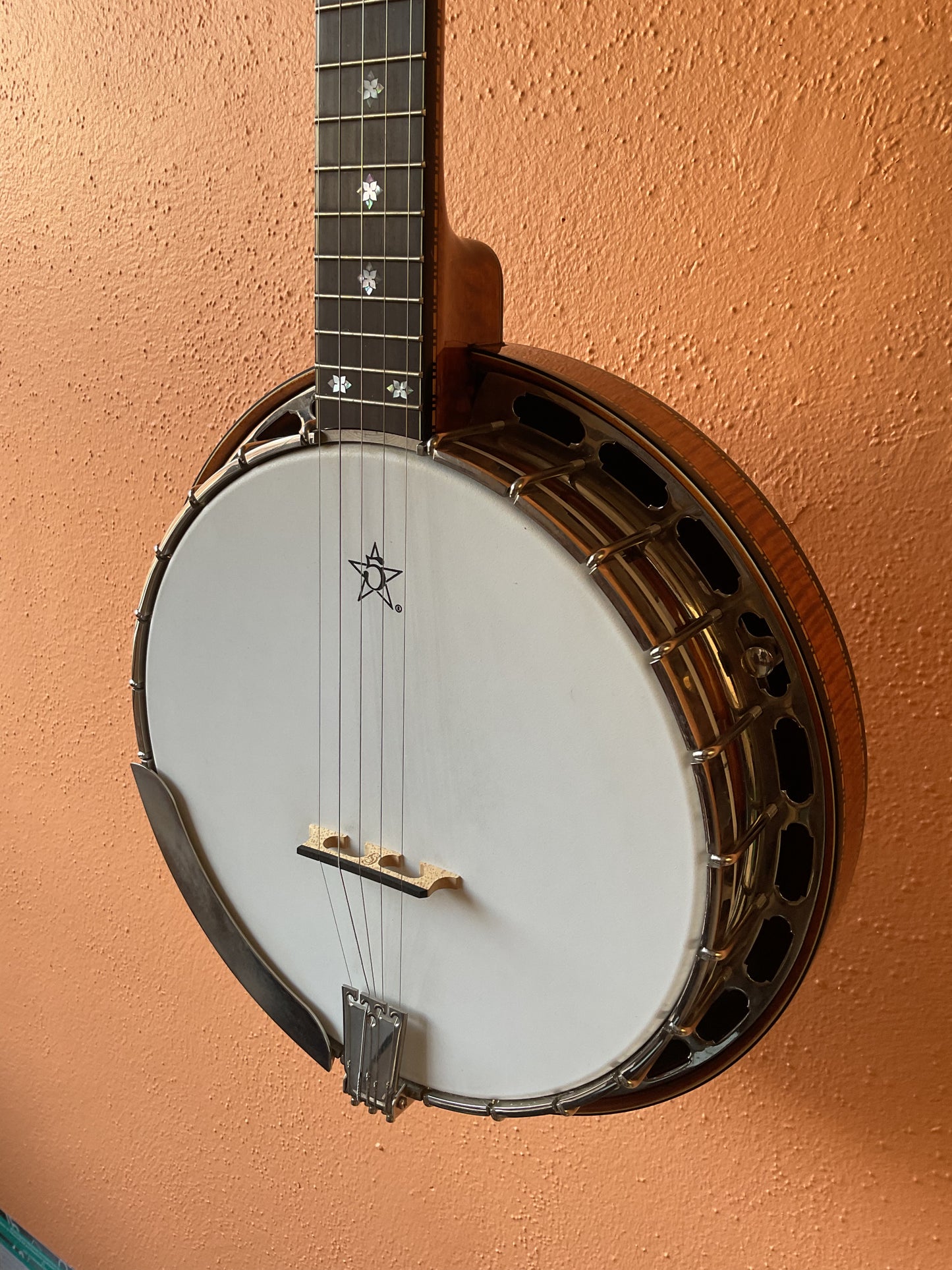 Wildwood Artist 5-String Banjo