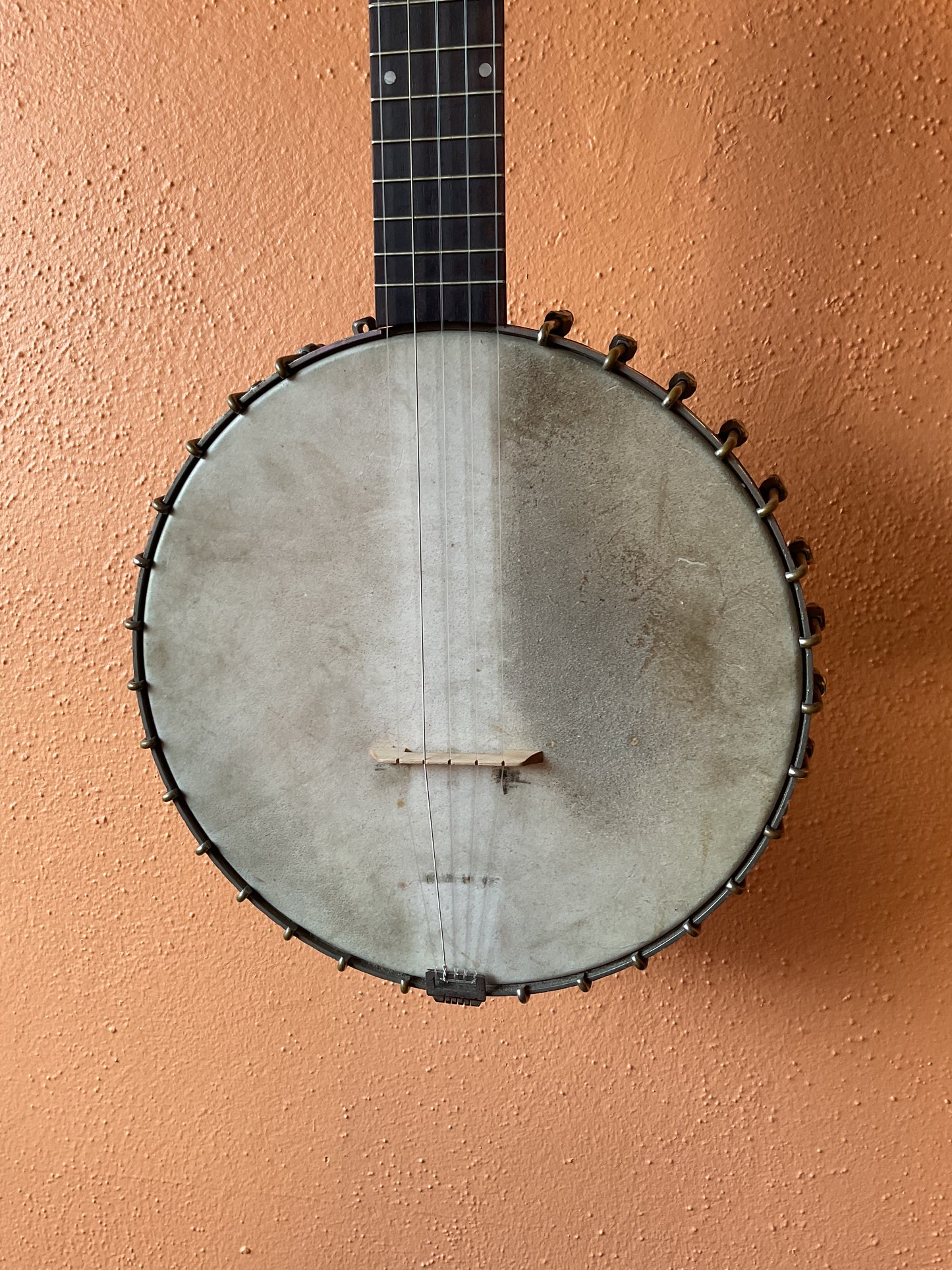 1890s Buckbee Style Banjo