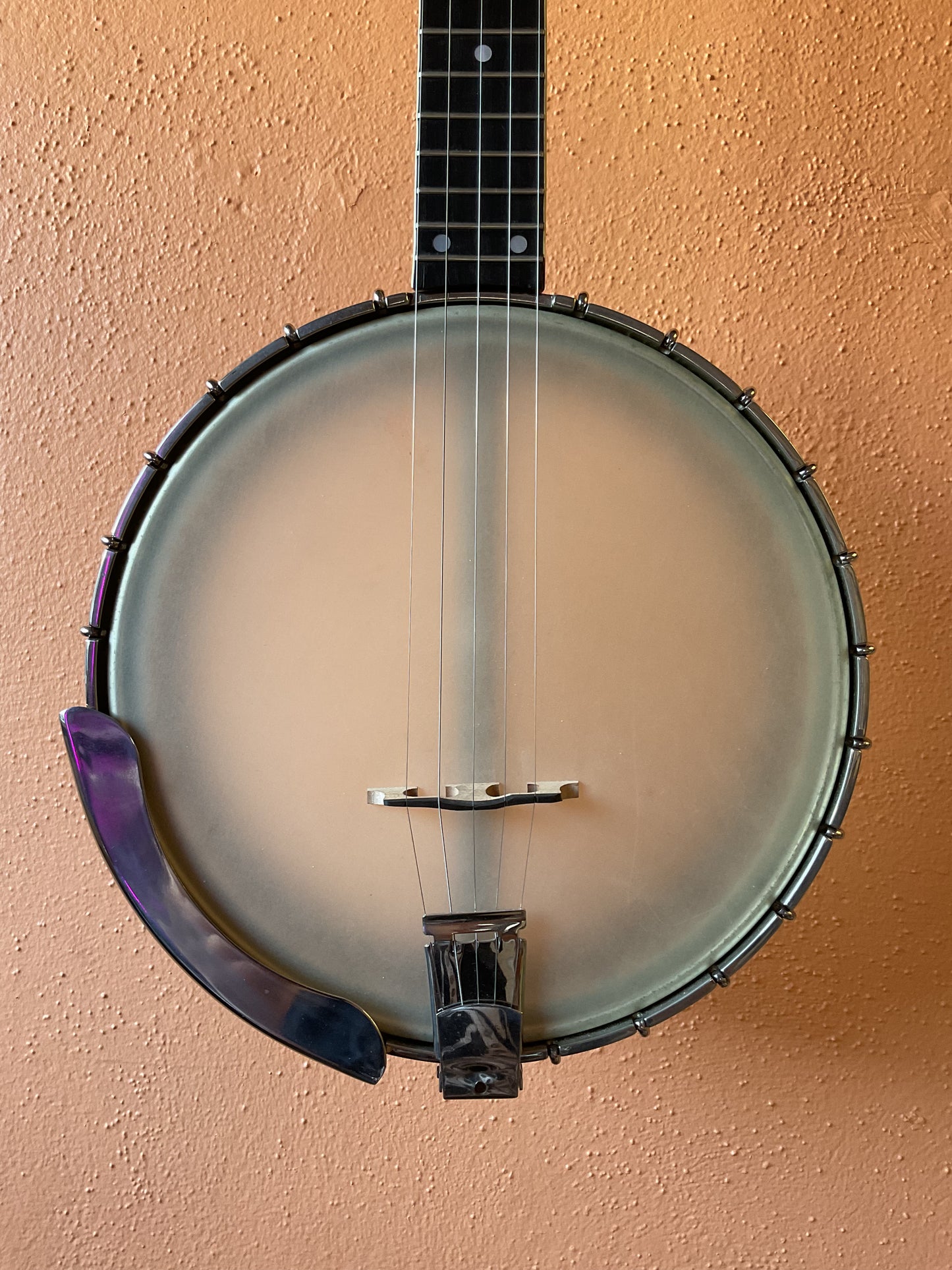 Vega Tubaphone Pete Seeger Long Neck Banjo (1963) with Case