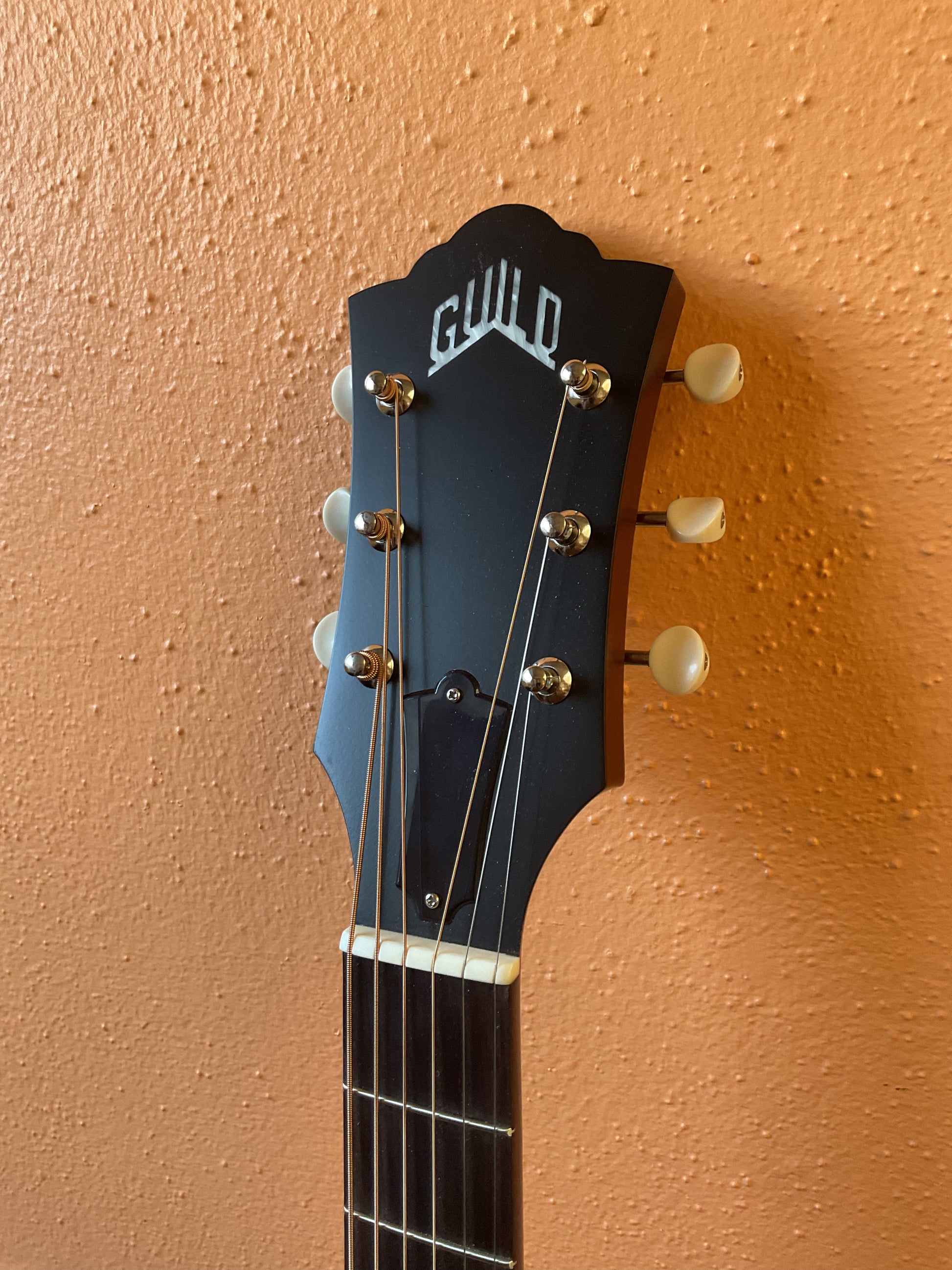 Guild M20 Guild M-20 Acoustic Guitar (2022) – The Sound Post