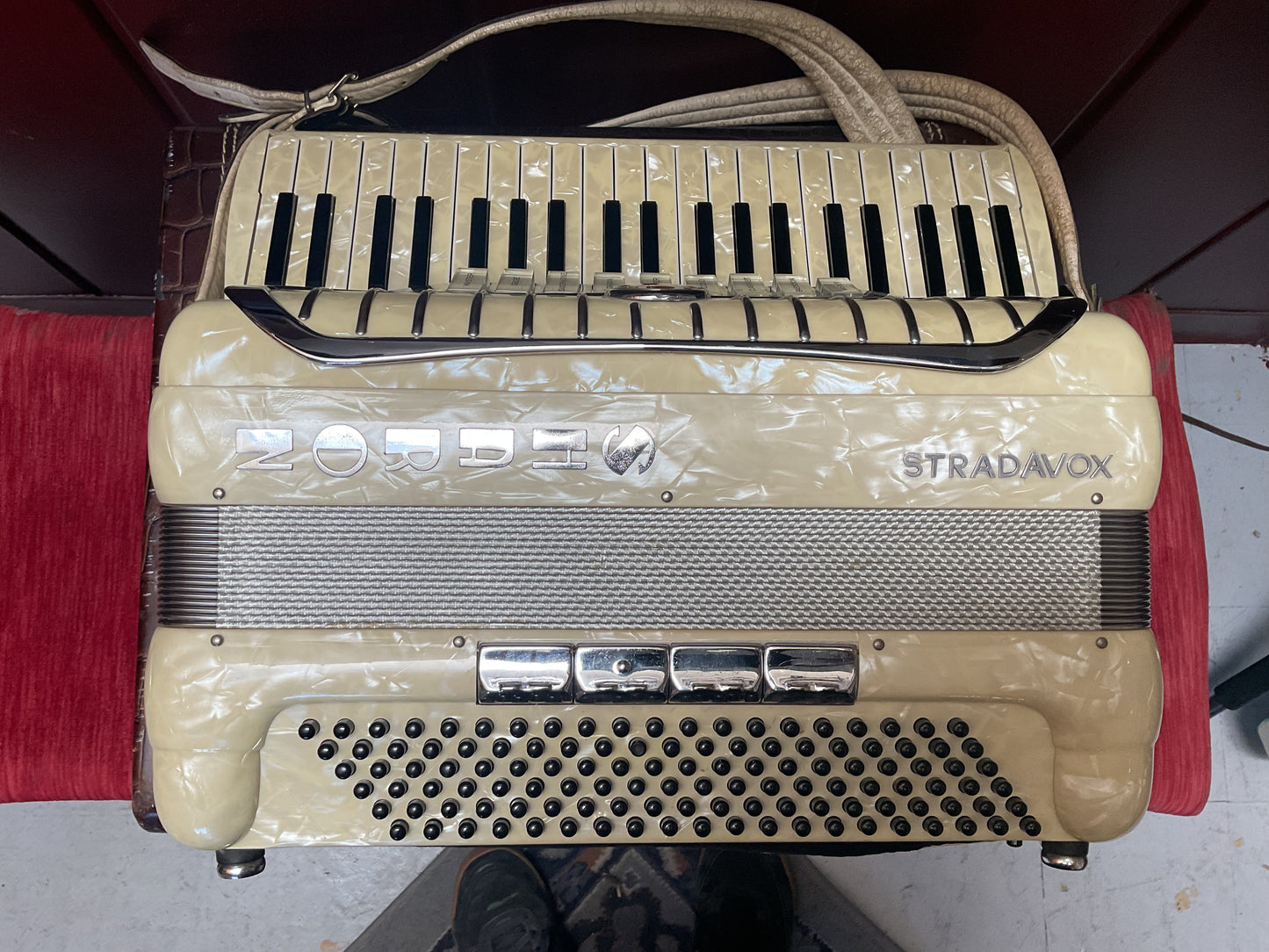 Stradavox Sharon Accordian