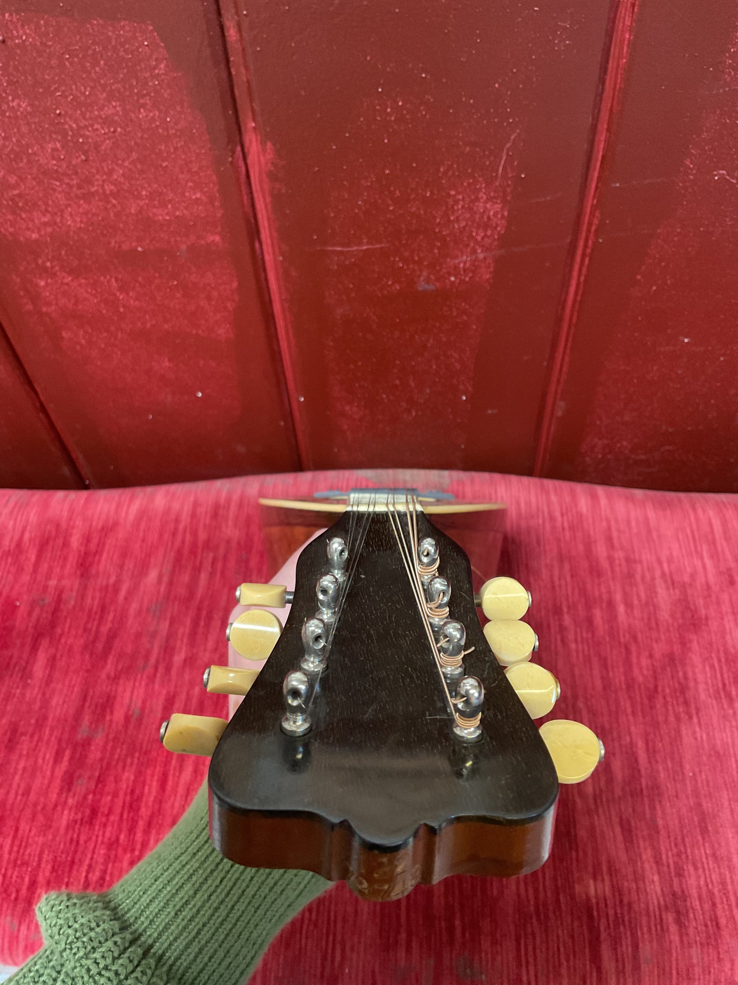 Washburn Bowl Back Mandolin (1910s) with Original Case