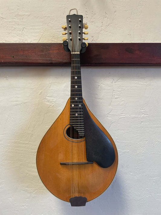 Washburn Style C Mandolin (c. 1920s) with Case