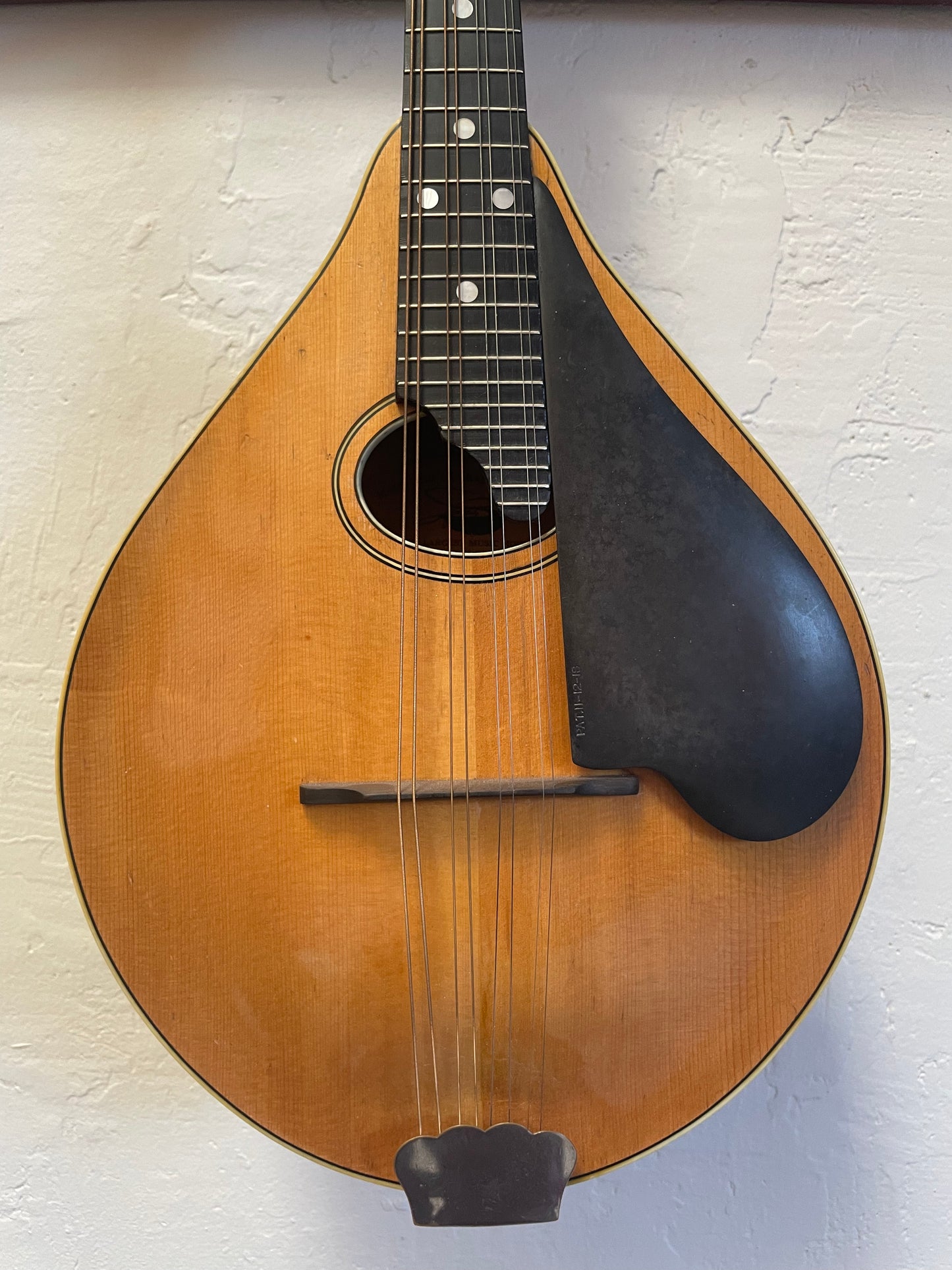 Washburn Style C Mandolin (c. 1920s) with Case