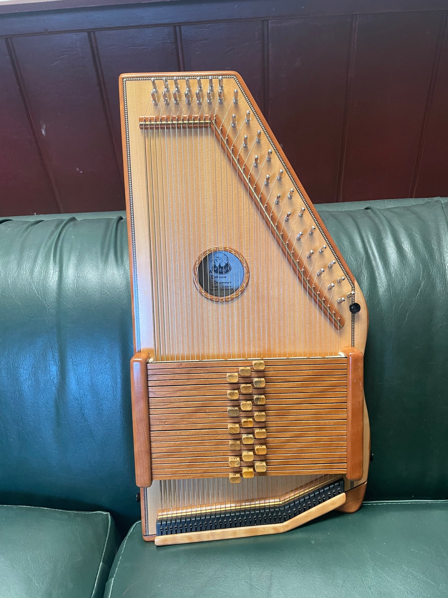 d'Aigle Cascade 21-Chord Autoharp with Fine Tuners and Bag