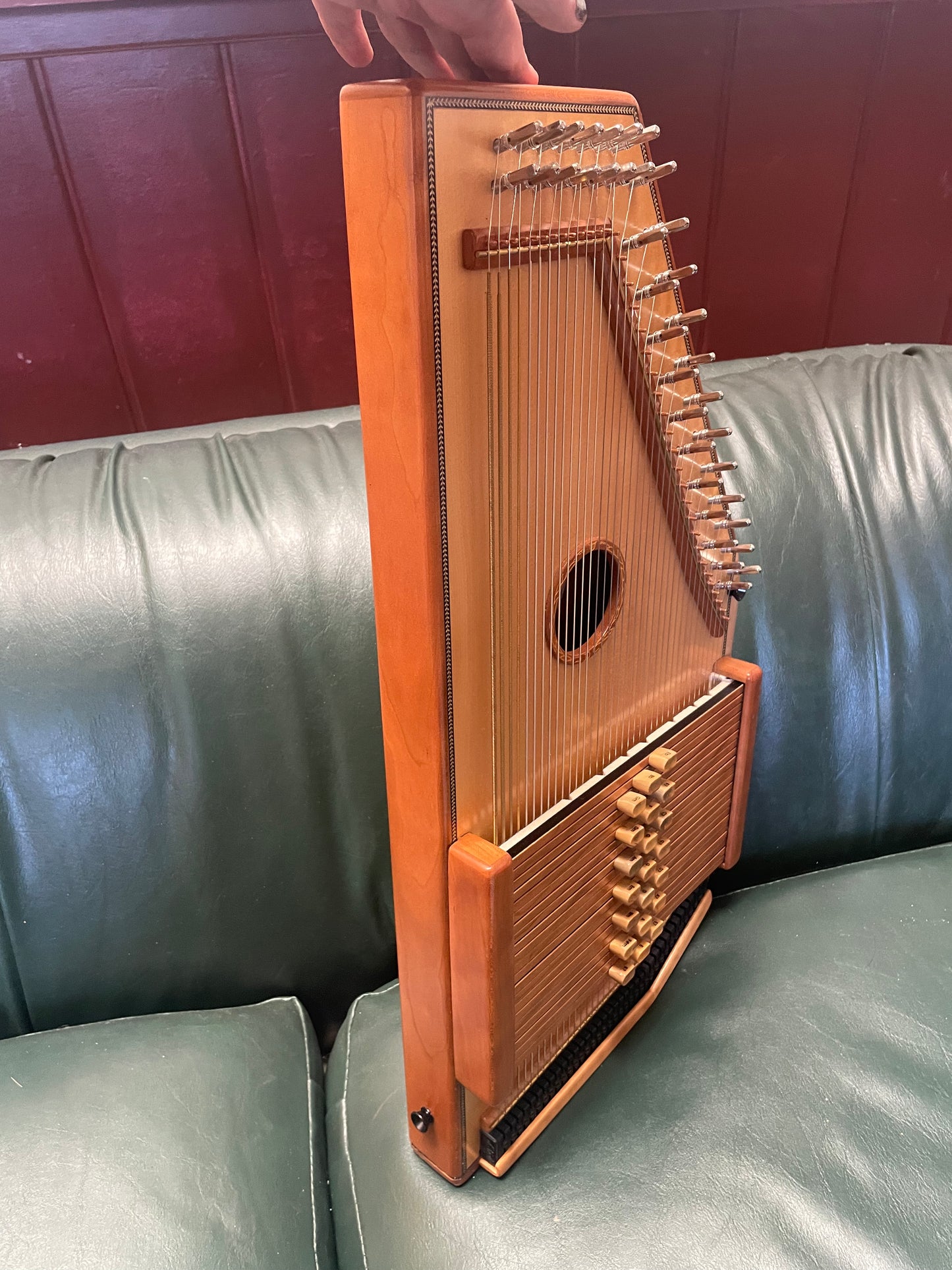 d'Aigle Cascade 21-Chord Autoharp with Fine Tuners and Bag