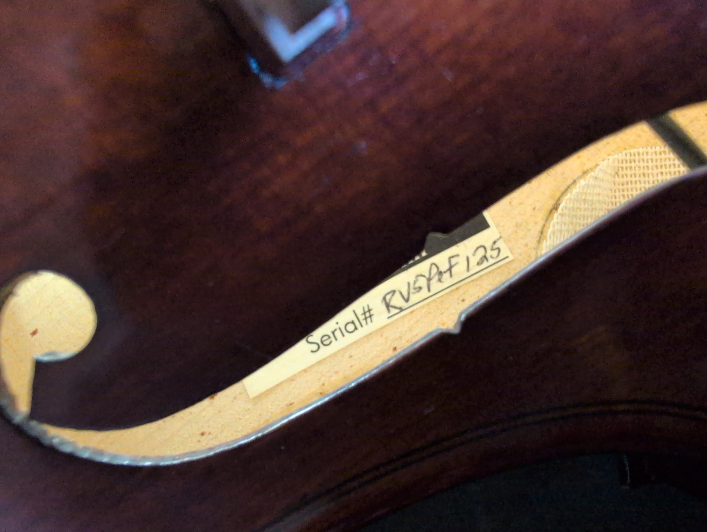 Realist R-V5Pe 5-String Electric Violin with Case